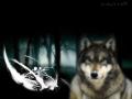 Dark Wolf